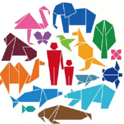 Origami-Wettbewerb – Rheingauschule