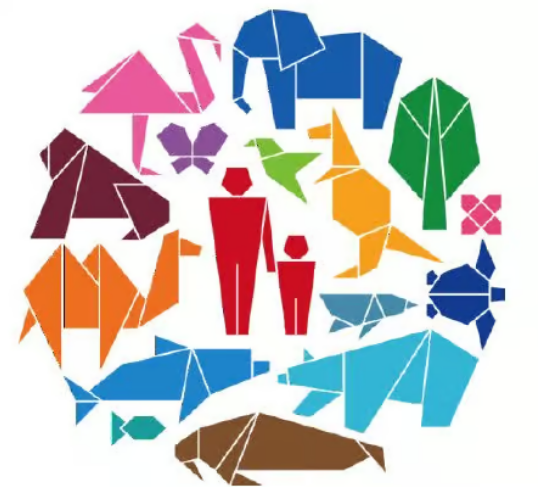 Origami-Wettbewerb – Rheingauschule